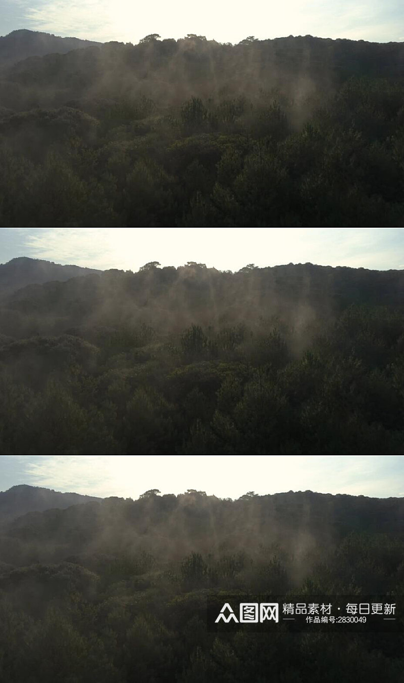 雾气覆盖的森林实拍视频素材