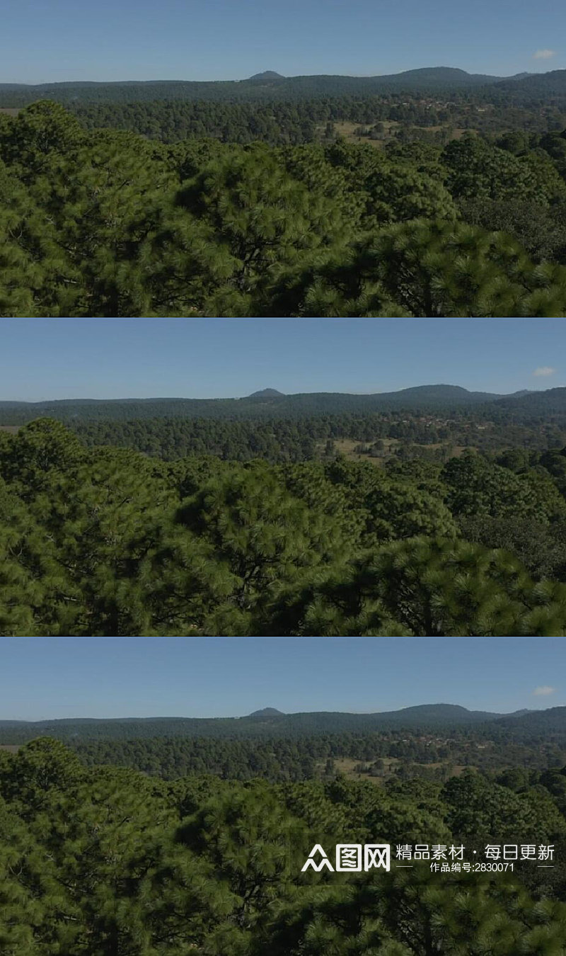 航拍阳光下的山脉森林实拍视频素材