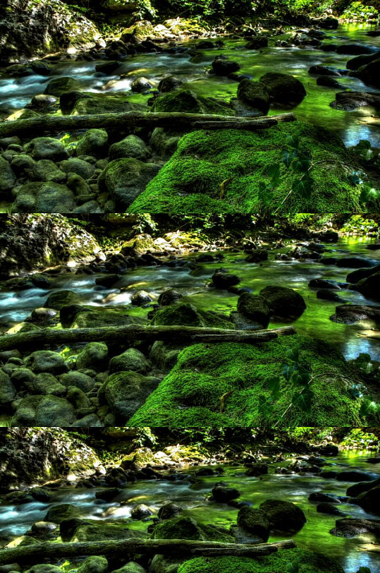 森林溪流美景 实拍视频 风景视频-众图网