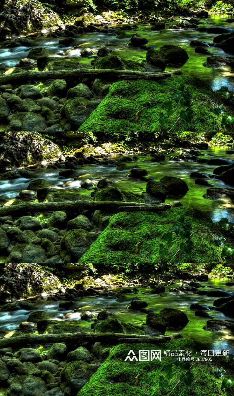 森林溪流美景 实拍视频 风景视频素材