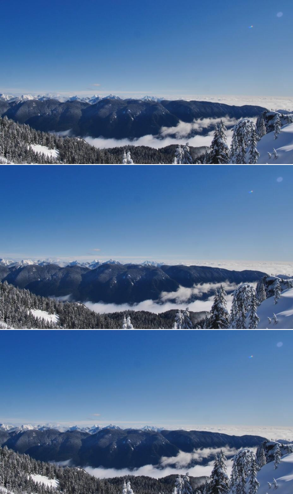 冬天雪山山脉上覆盖的松树美景实拍视频素材