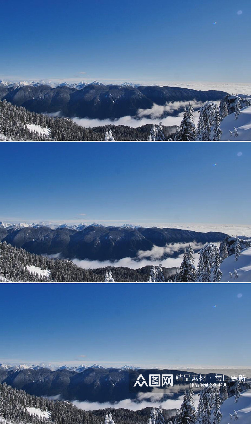 冬天雪山山脉上覆盖的松树美景实拍视频素材