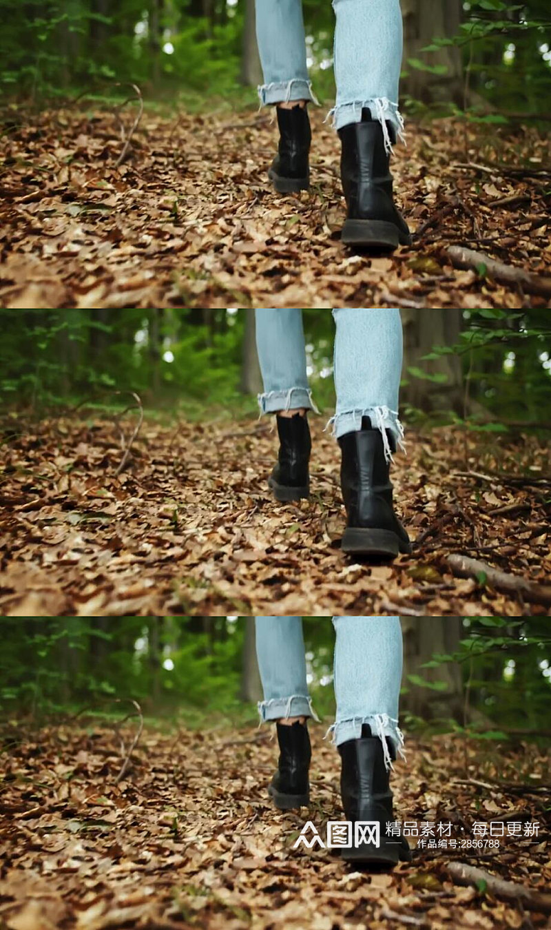 穿牛仔裤的女人穿过森林实拍视频素材