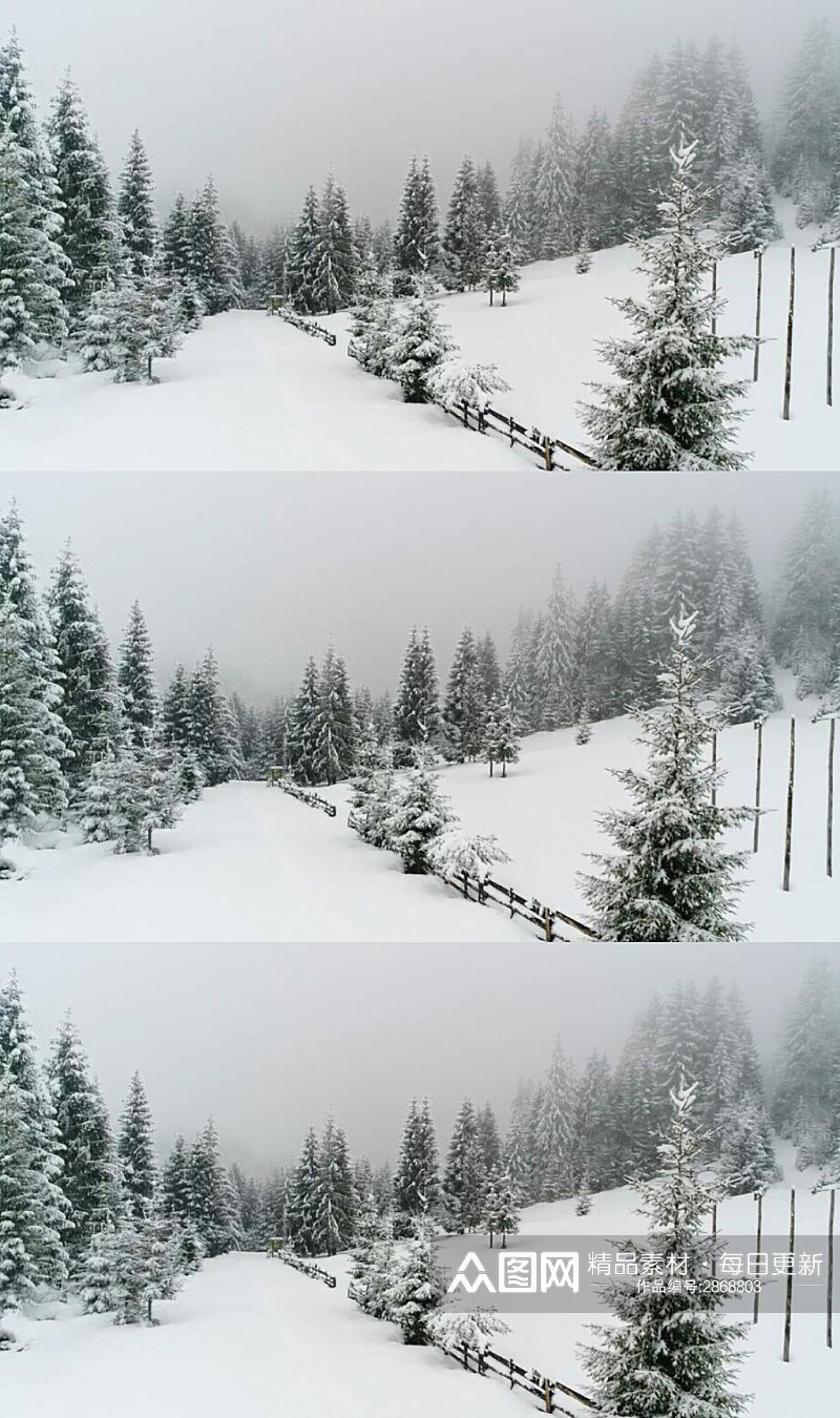冬季雾蒙蒙的下雪森林实拍视频素材