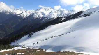 航拍雪山高原松林美景实拍视频 风景视频-众图网