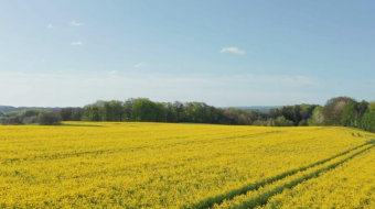 航拍油菜花田园美景实拍风景视频-众图网