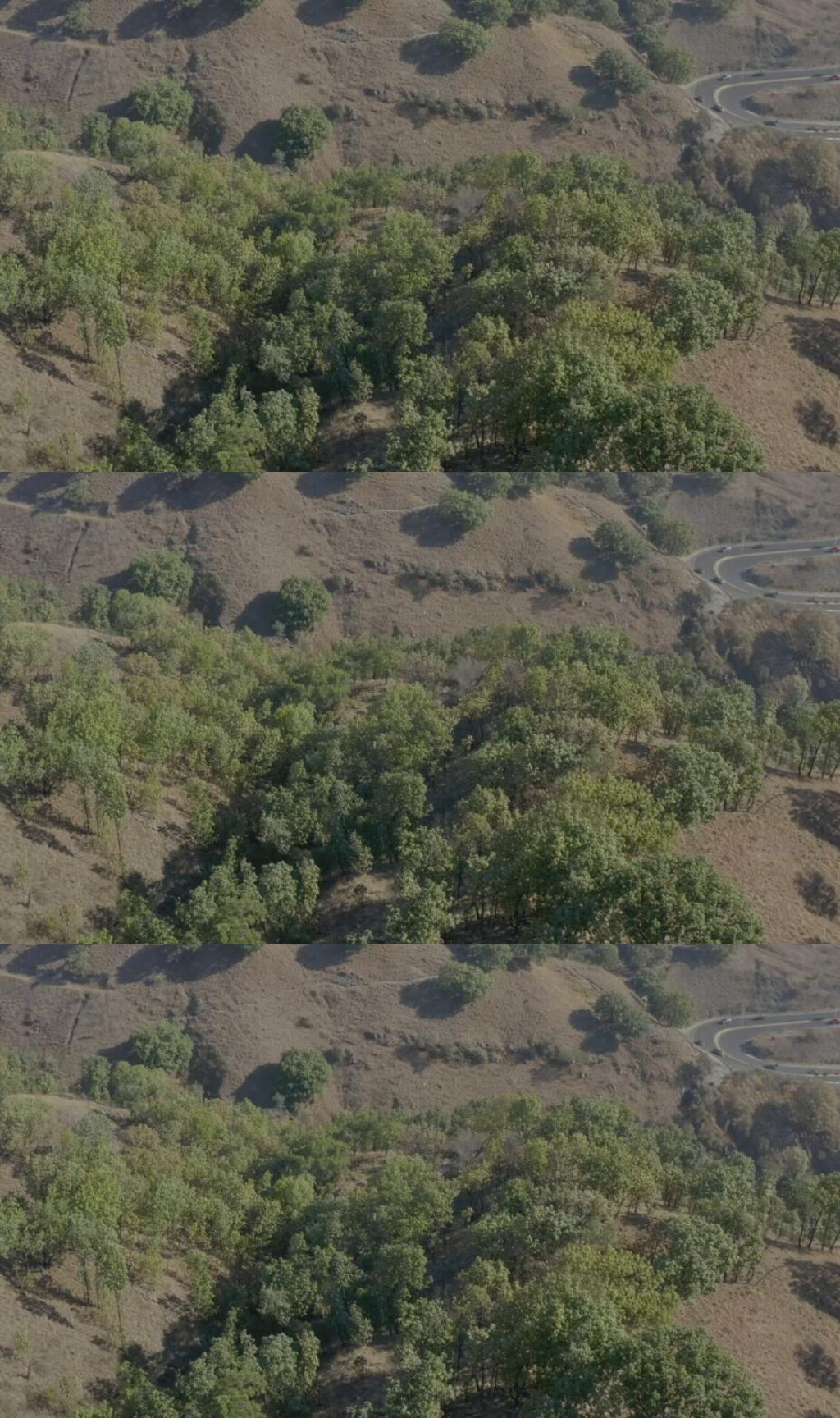 航拍山脈森林樹木美景實(shí)拍視頻素材