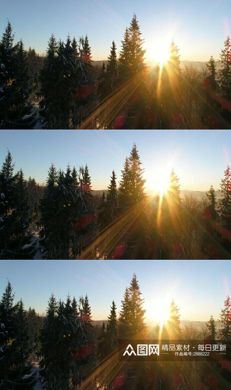 覆盖冬季森林的日落阳光美景实拍视频素材