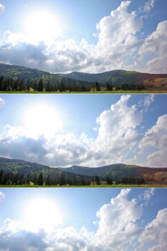 森林上空的白云美景实拍视频