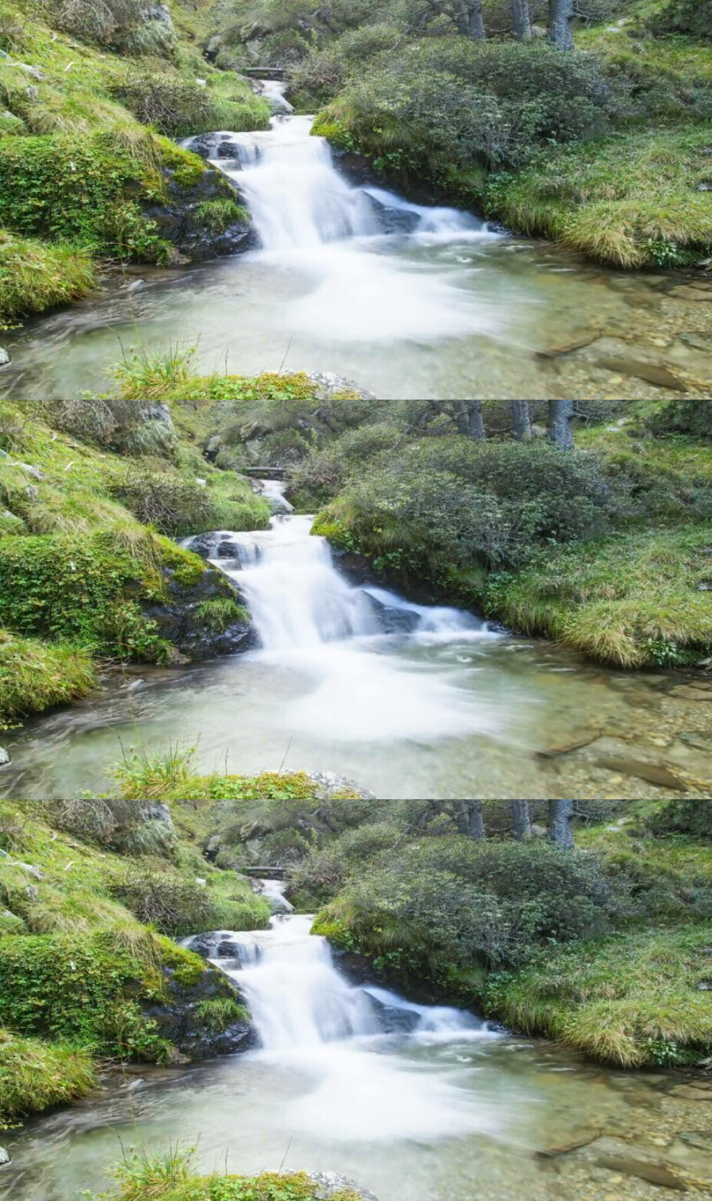 延時(shí)攝影樹林里一條小溪河流實(shí)拍視頻素材