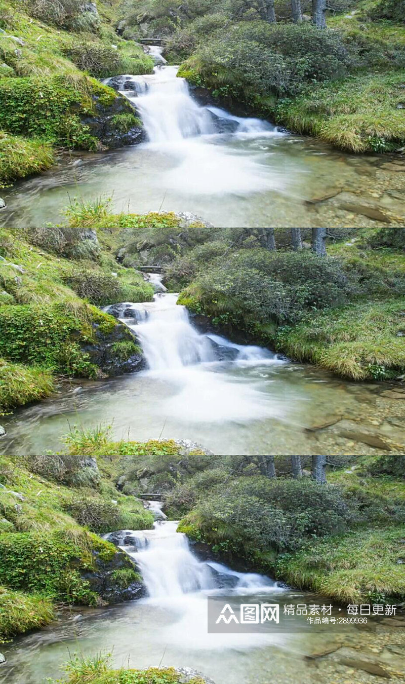 延时摄影树林里一条小溪河流实拍视频素材