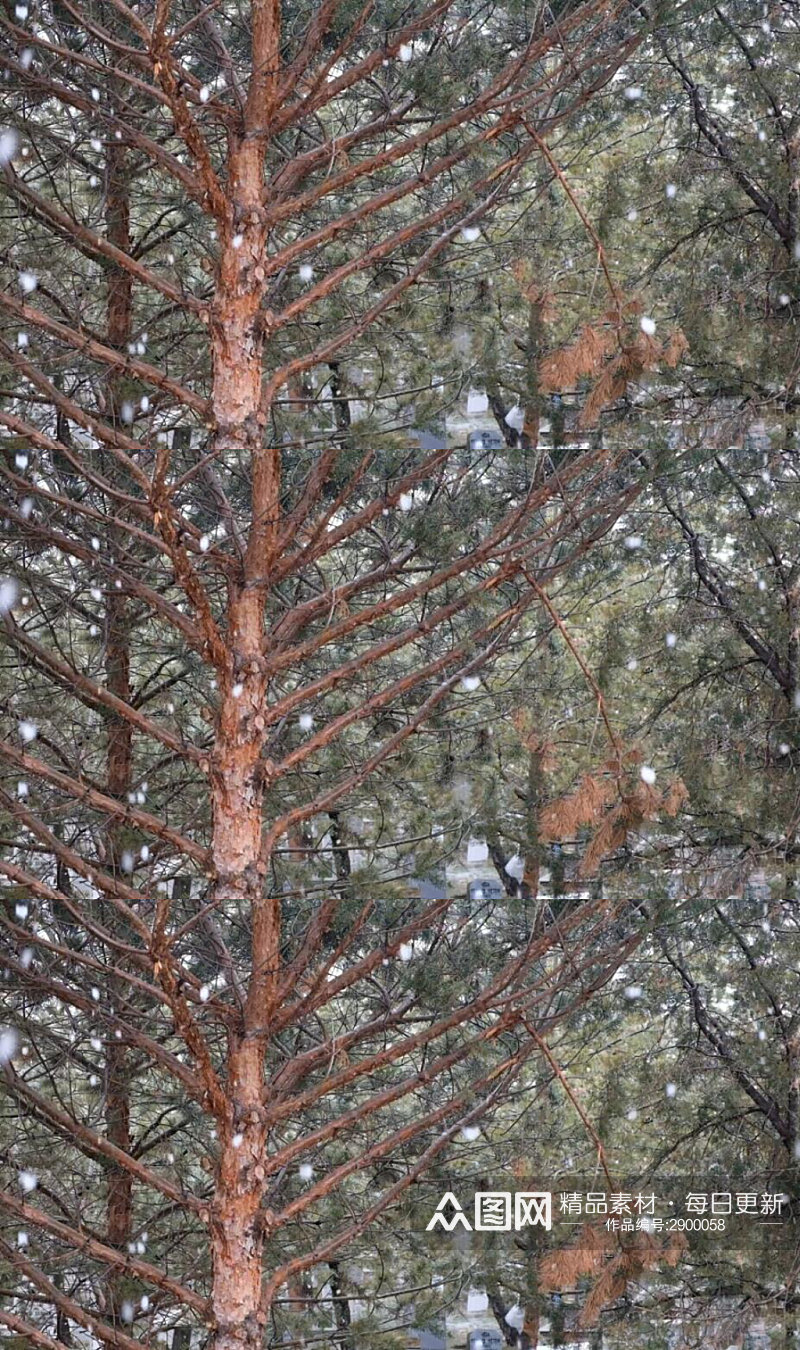 冬天森林中下落的雪花实拍视频素材