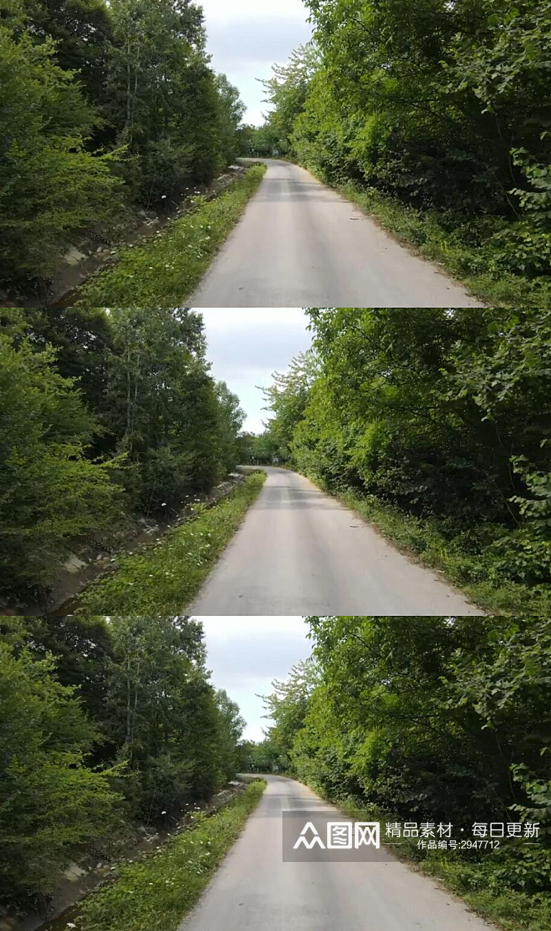 森林树木中的小路实拍视频 风景视频素材