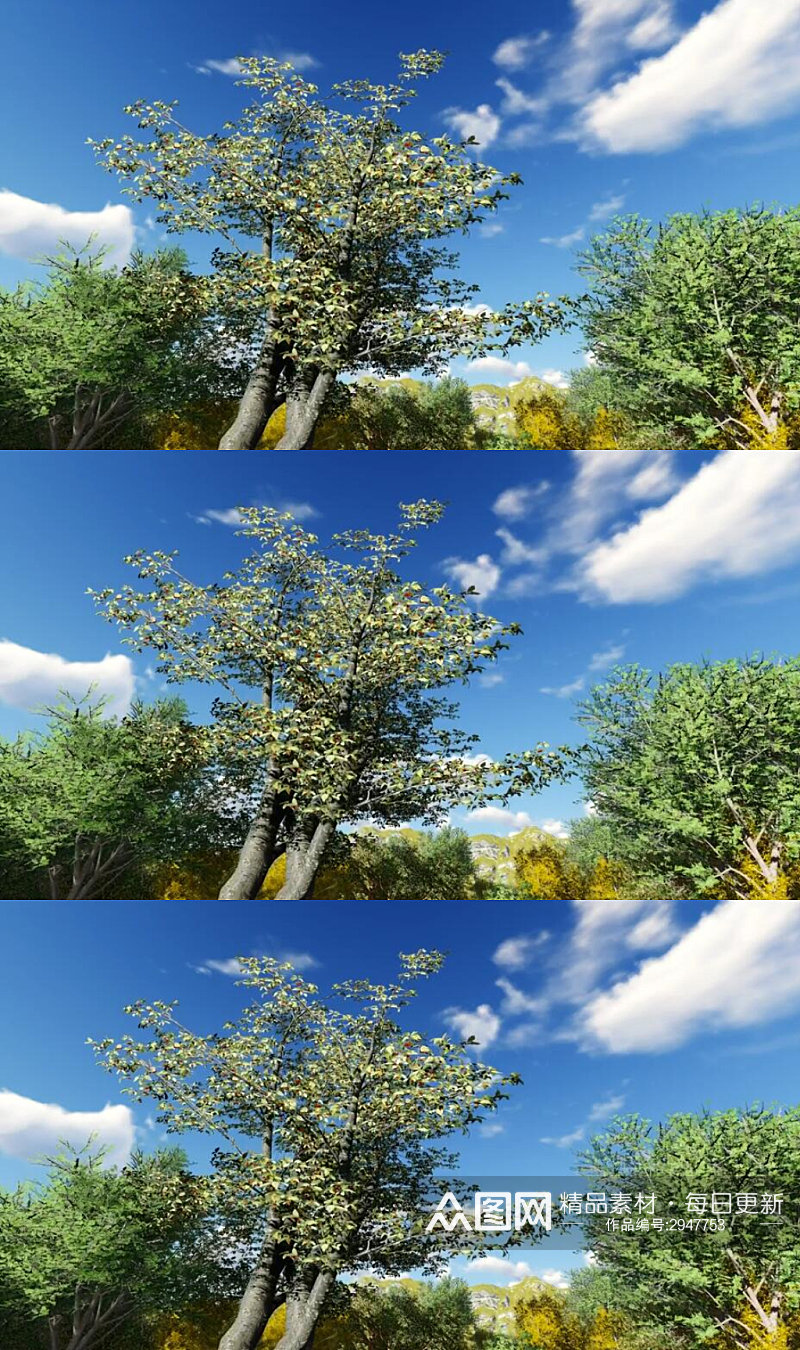 蓝天白云下的花草树木美景视频素材
