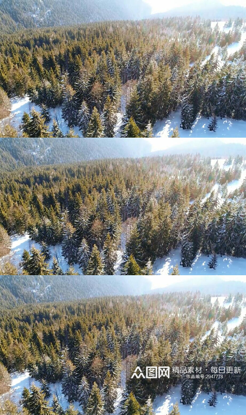 航拍冬季山脉森林美景实拍视频素材