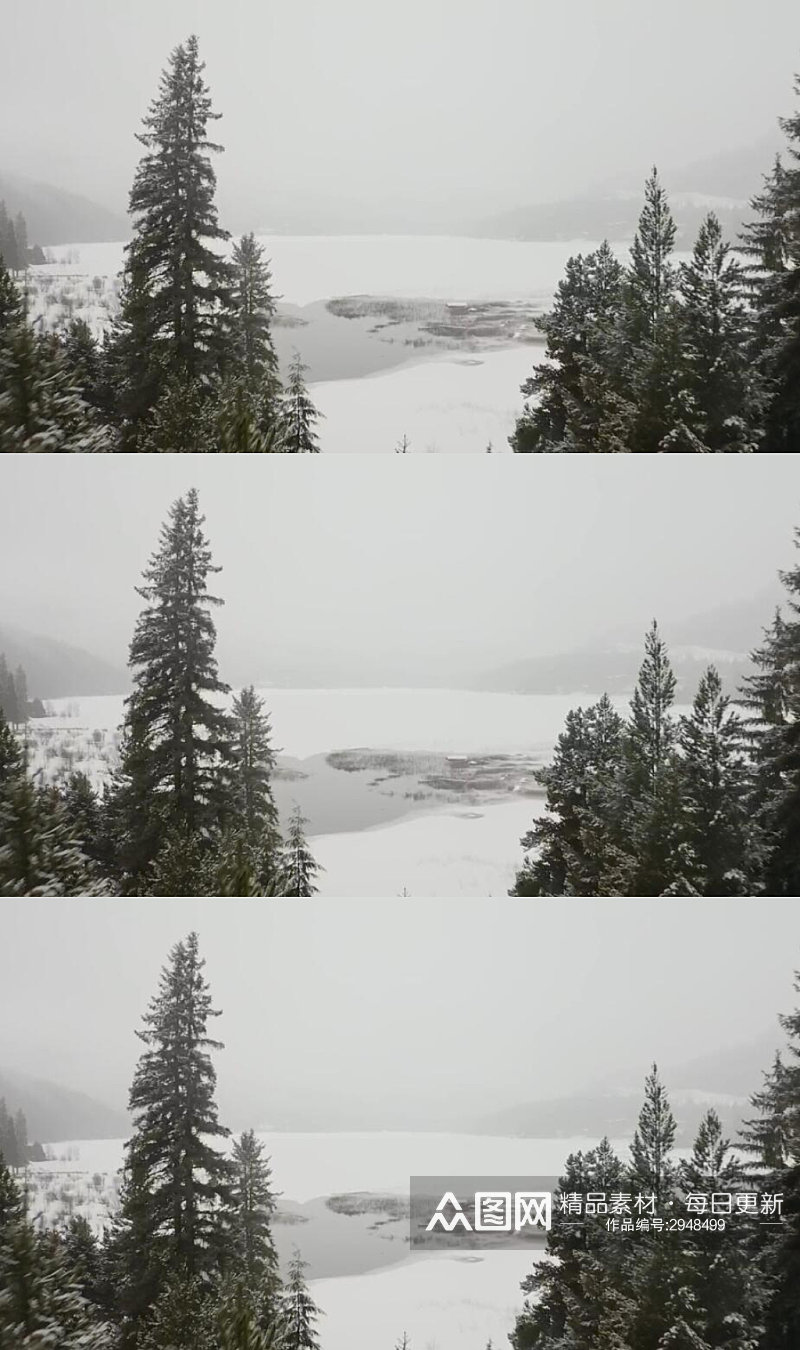 冰雪覆盖的松树林中的冰湖实拍视频素材