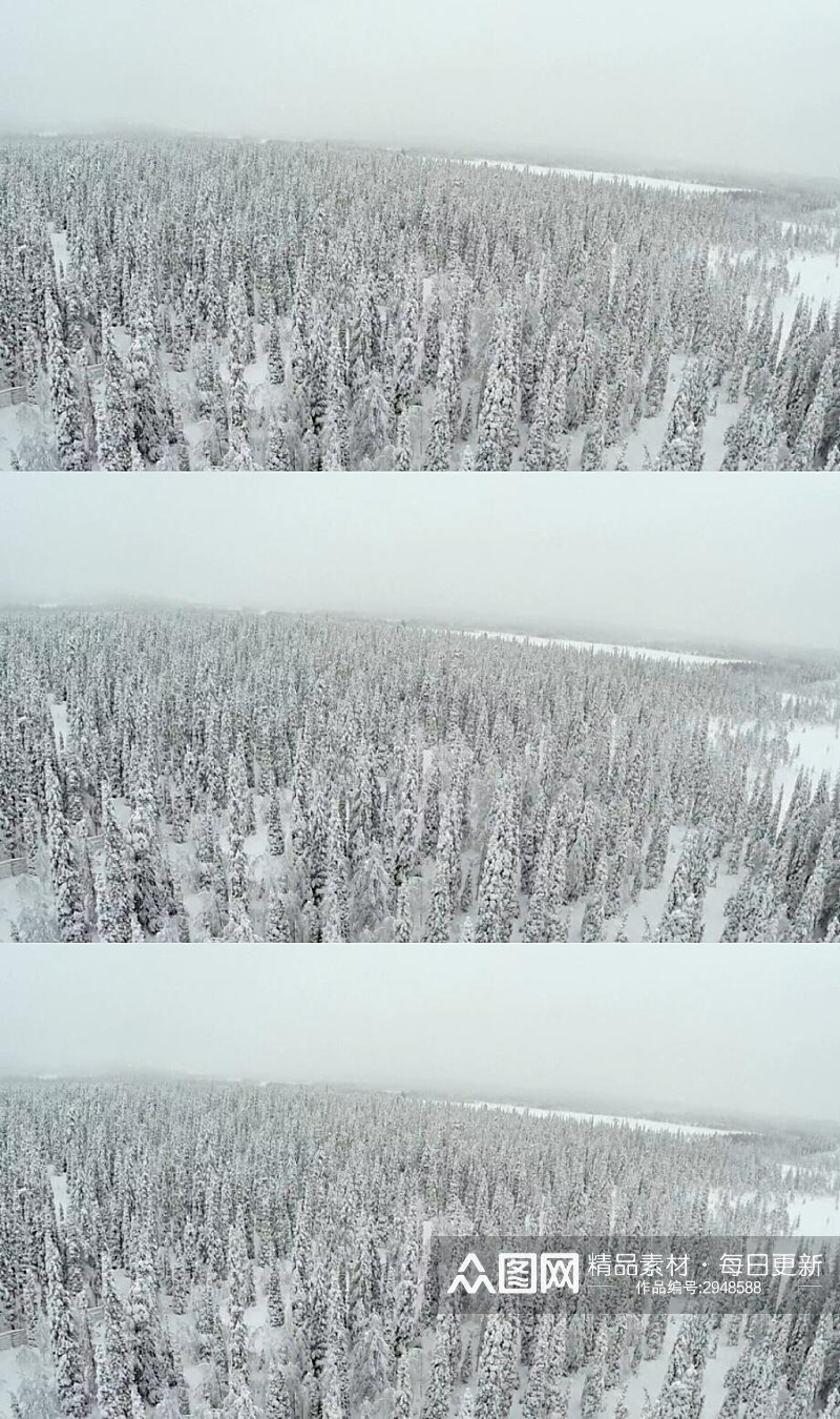 冬季冰雪覆盖的森林美景实拍视频素材