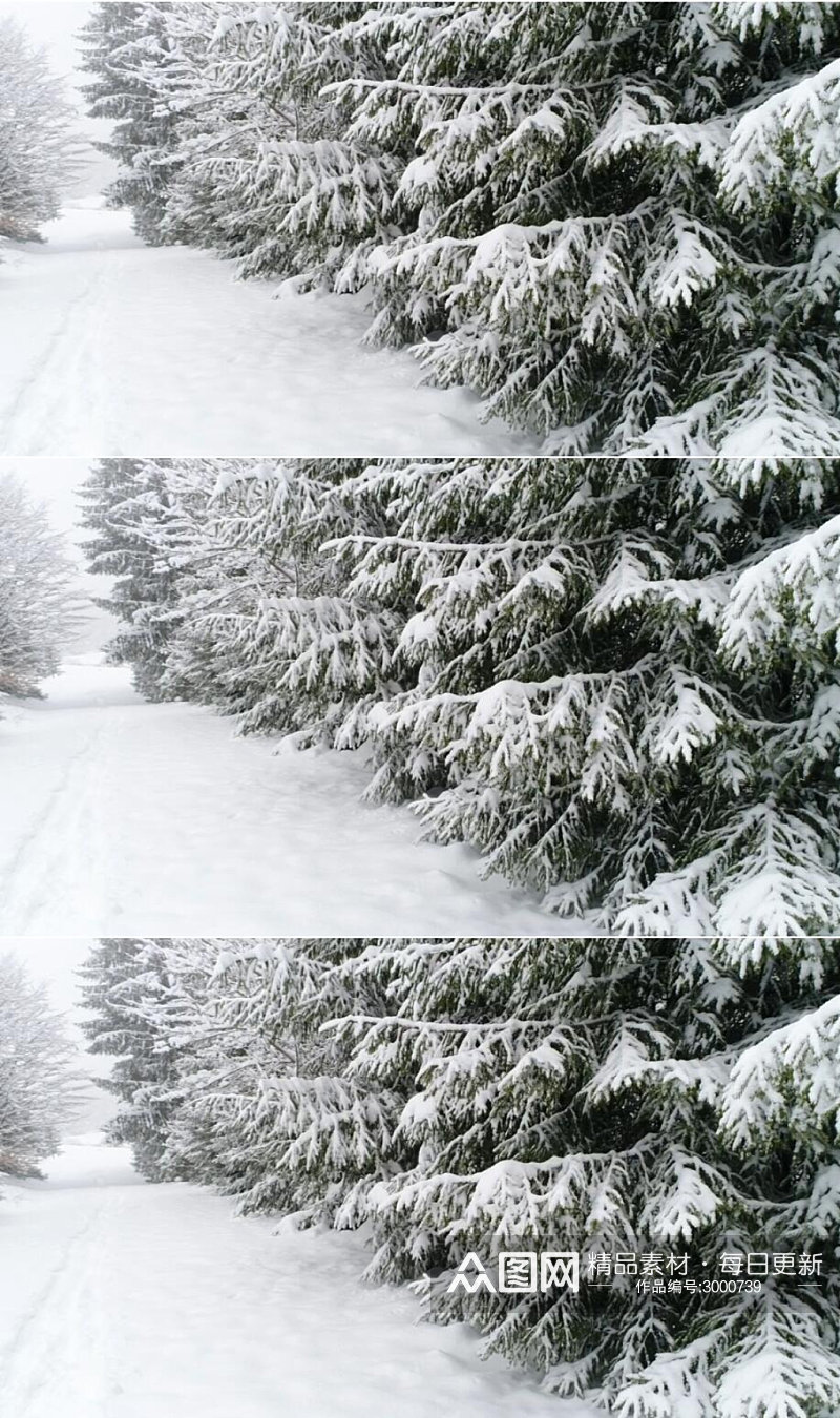 冬季森林覆盖的雪路实拍视频素材