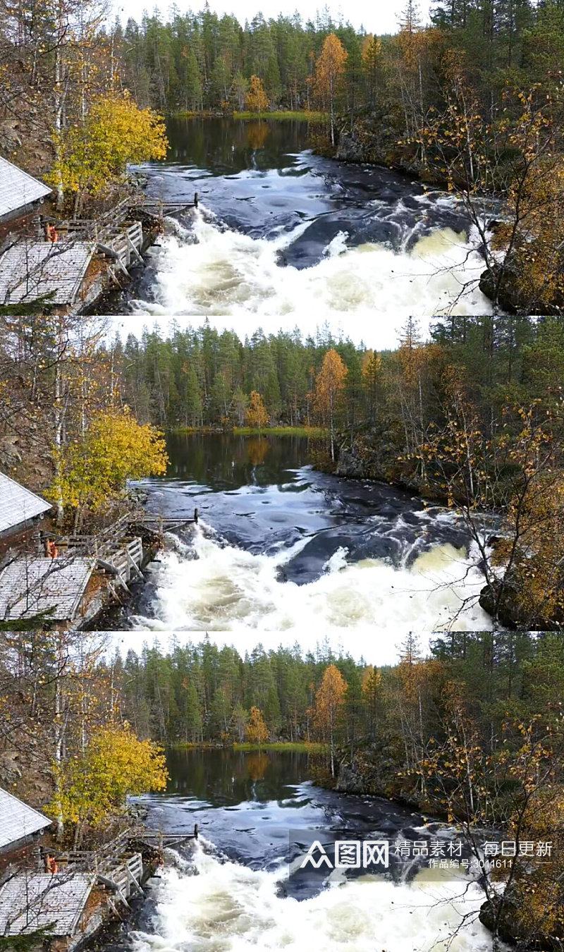 秋天松林木屋旁的一条河流美景实拍视频素材