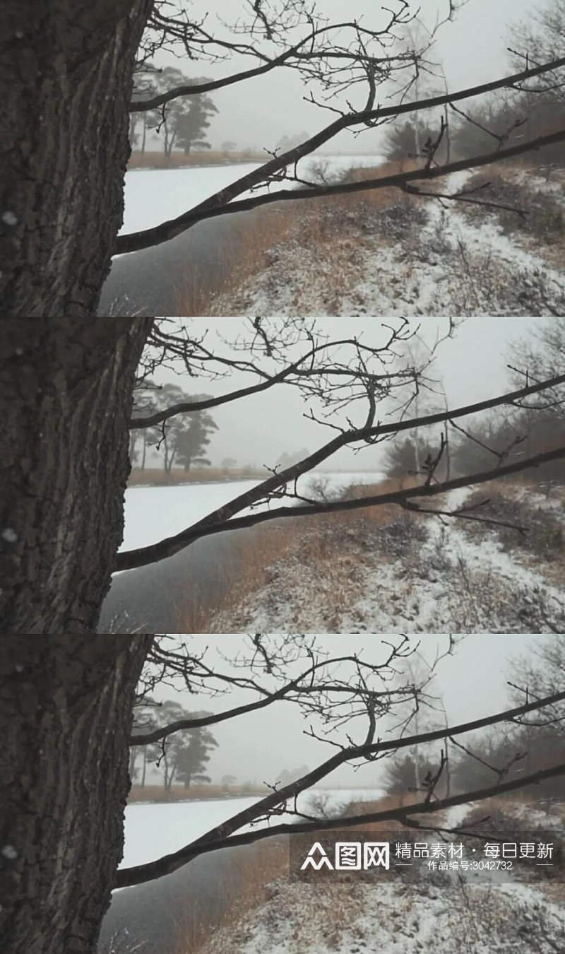 冬天森林里下雪的树枝实拍视频素材