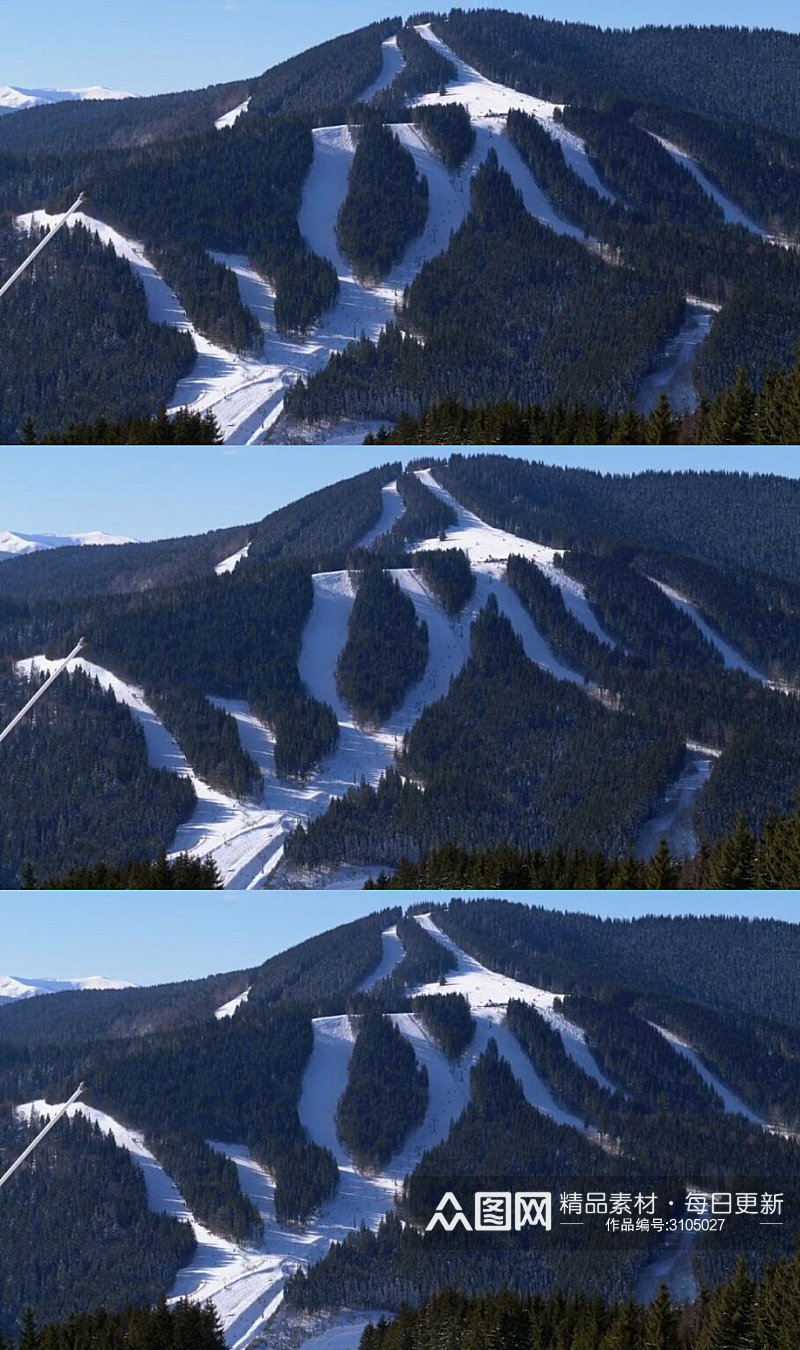 雪山山脉覆盖松树林实拍视频素材