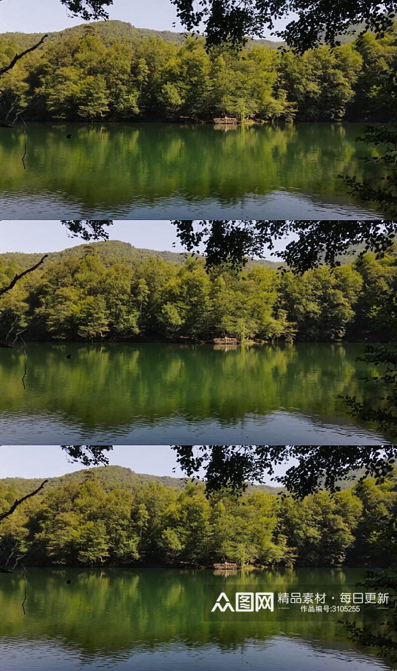 美丽的湖泊森林美景实拍视频素材