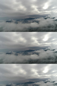 冬天被雾覆盖的山地景观实拍视频