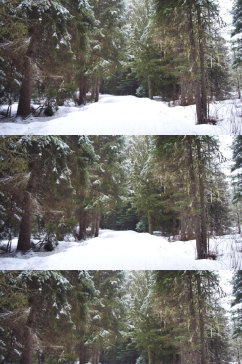 森林中的下雪道路实拍视频