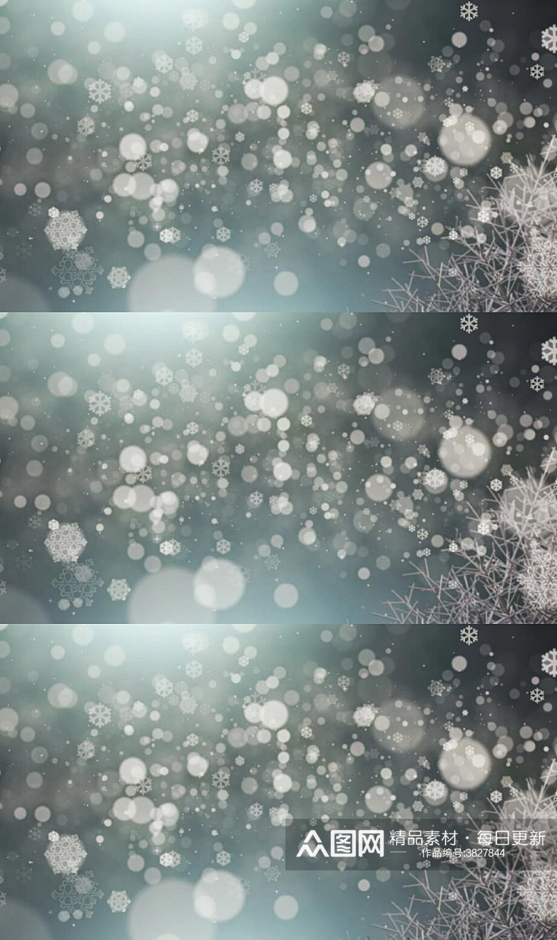 圣诞节漂浮的雪花粒子背景视频素材