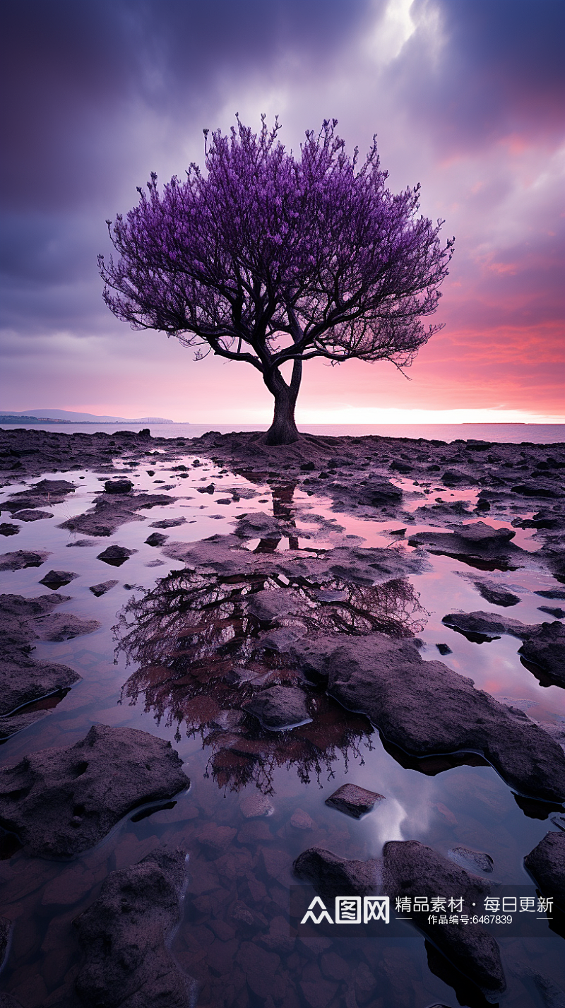 紫色梦幻风景摄影图素材