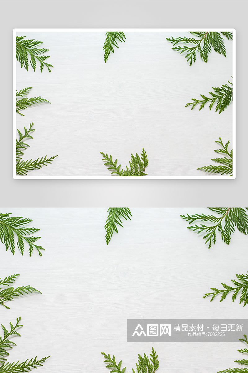 绿色清新植物边框背景图素材