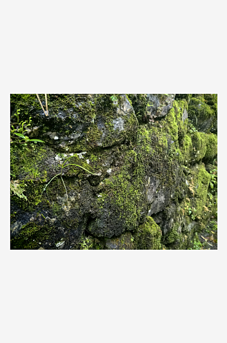山中岩石苔藓摄影图