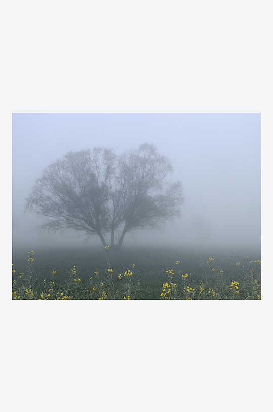 云雾缭绕的乡村风景摄影图