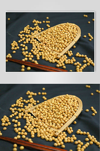 黄豆五谷杂粮粮食摄影图照片