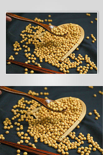 黄豆五谷杂粮粮食摄影图照片