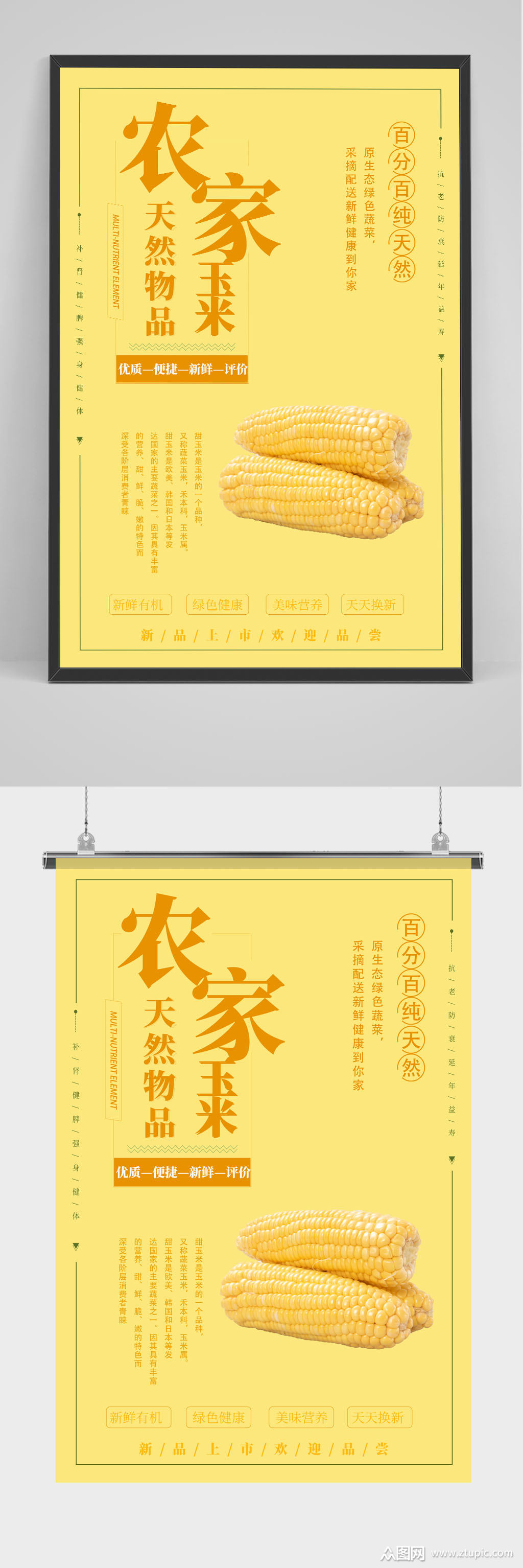黄色新鲜纯天然原生态玉米农作物海报