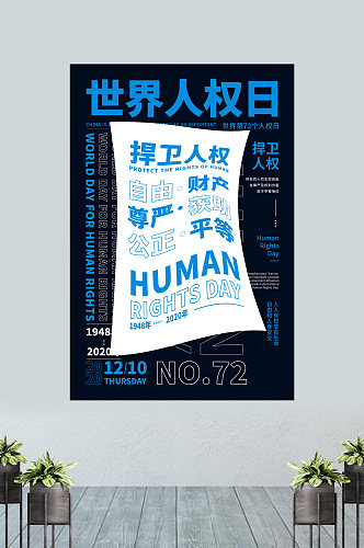 简洁大气世界人权日海报