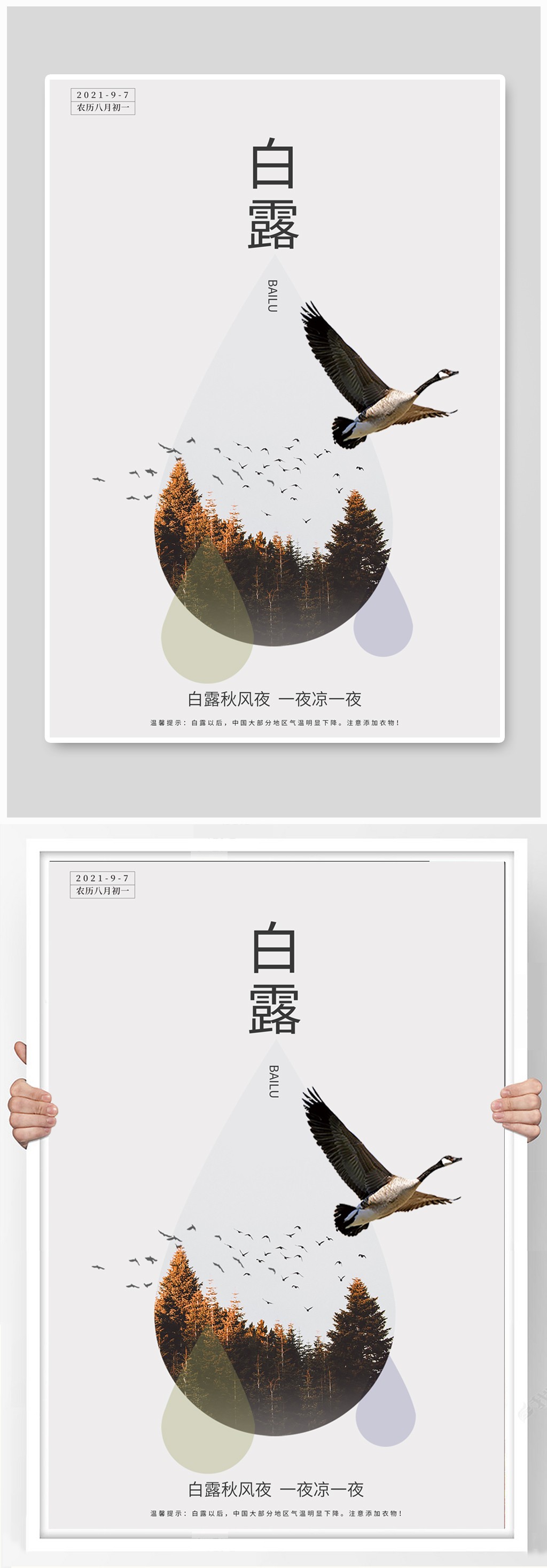 高端大气简约白露节气稿海报素材