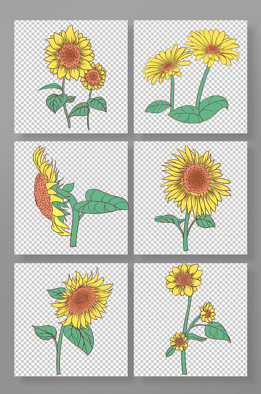 手绘线条向日葵花卉元素插画