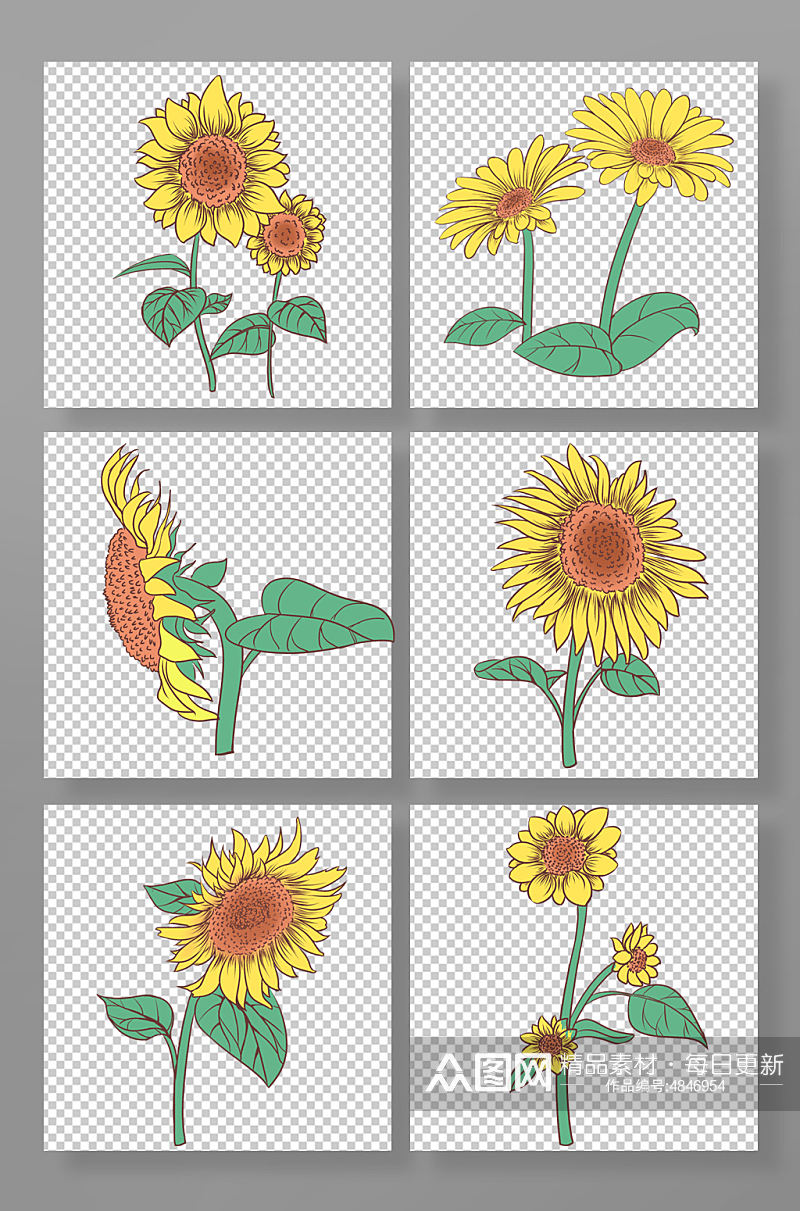 手绘线条向日葵花卉元素插画素材