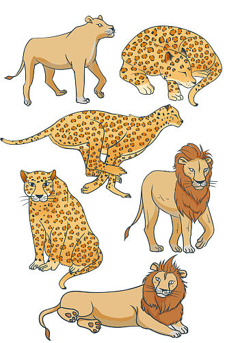 手绘写实风格狮子豹子动物元素插画