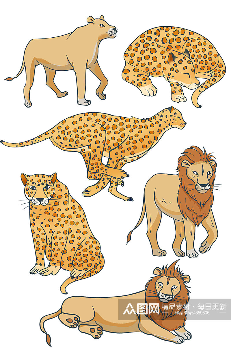 手绘写实风格狮子豹子动物元素插画素材