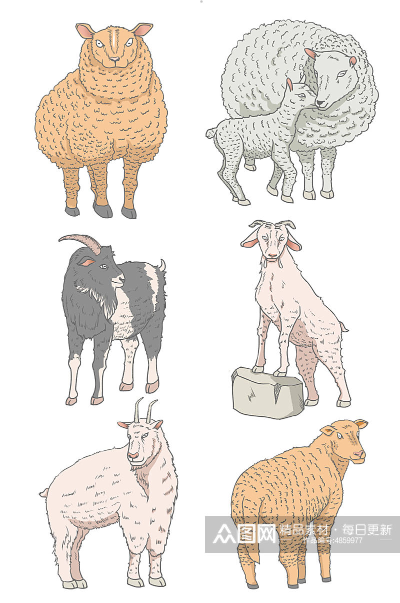 写实描线风格绵羊山羊动物元素插画素材