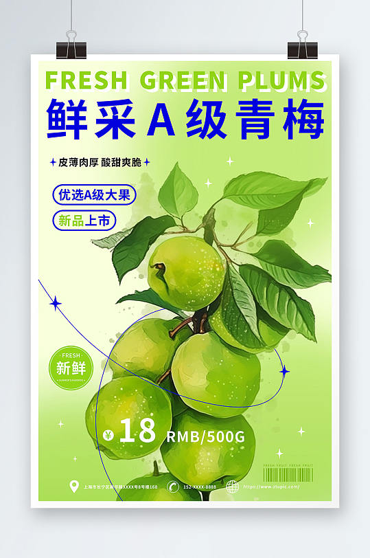 新品上市梅子青梅水果宣传海报