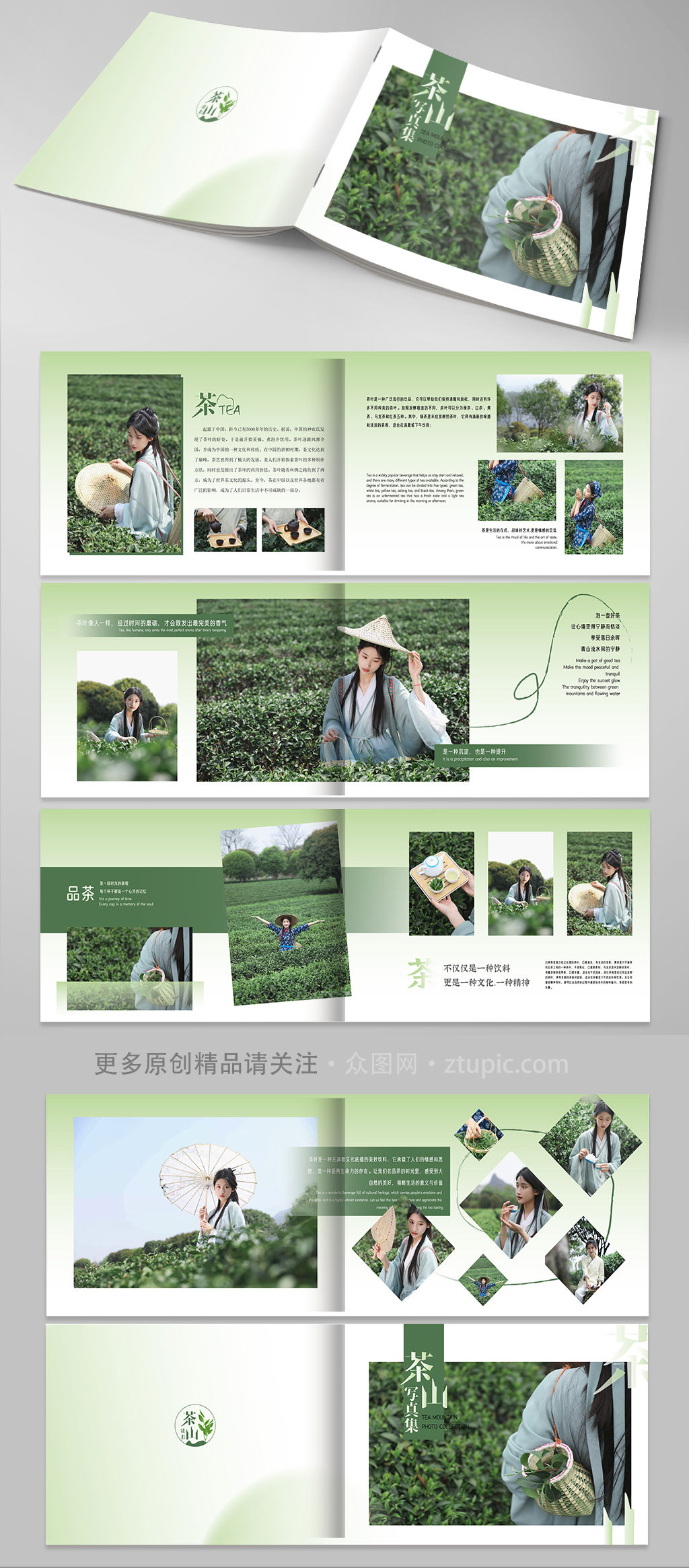 古风茶园采茶项目茶叶茶文化宣传画册素材