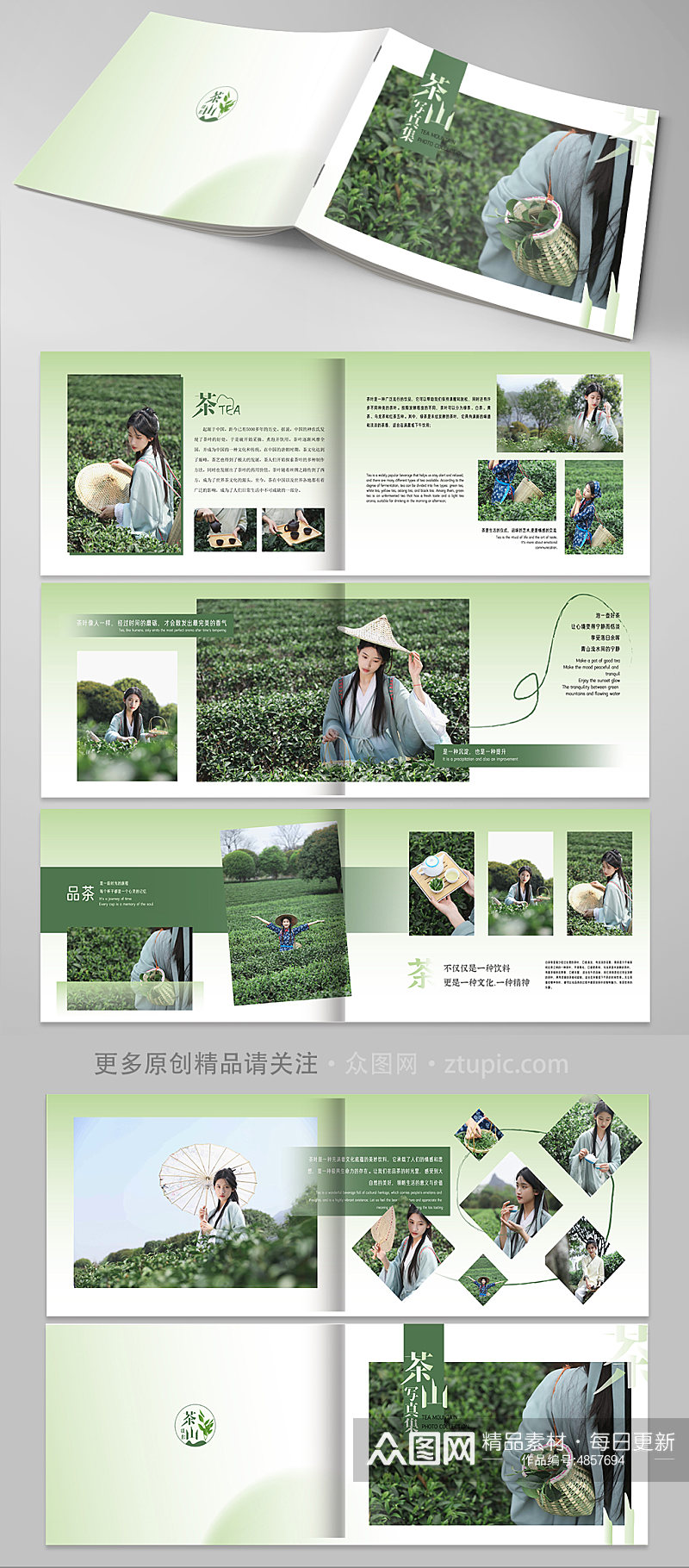 古风茶园采茶项目茶叶茶文化宣传画册素材