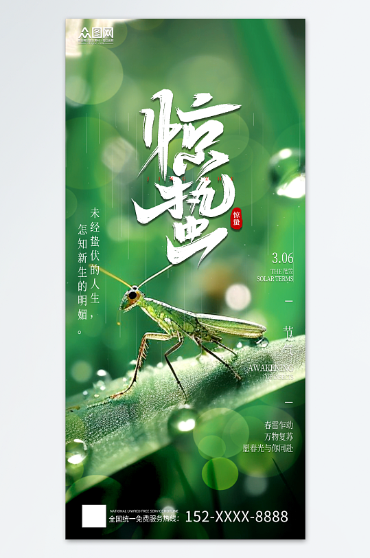 惊蛰节气螳螂绿色简约海报