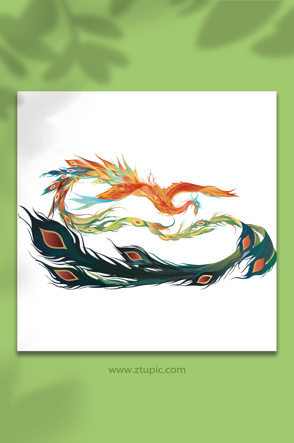 现代时尚插画凤凰素材