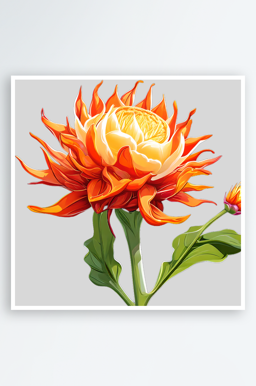 红花葱兰卡通插画免扣素材素材