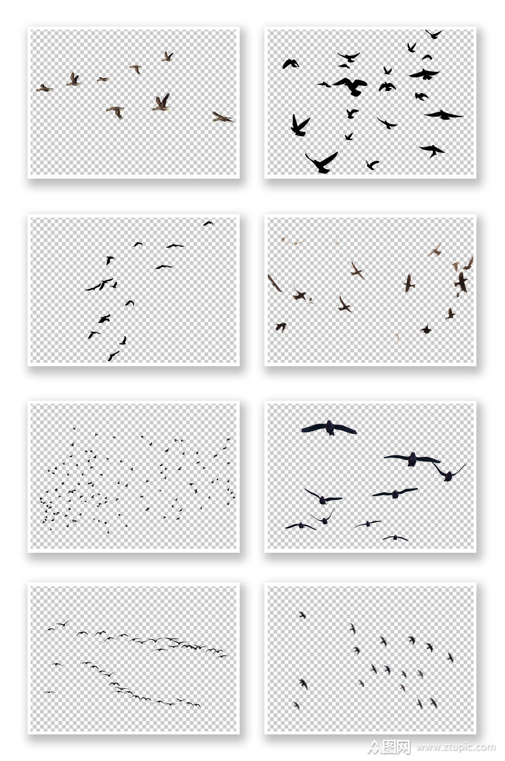 png免抠素材一群飞鸟